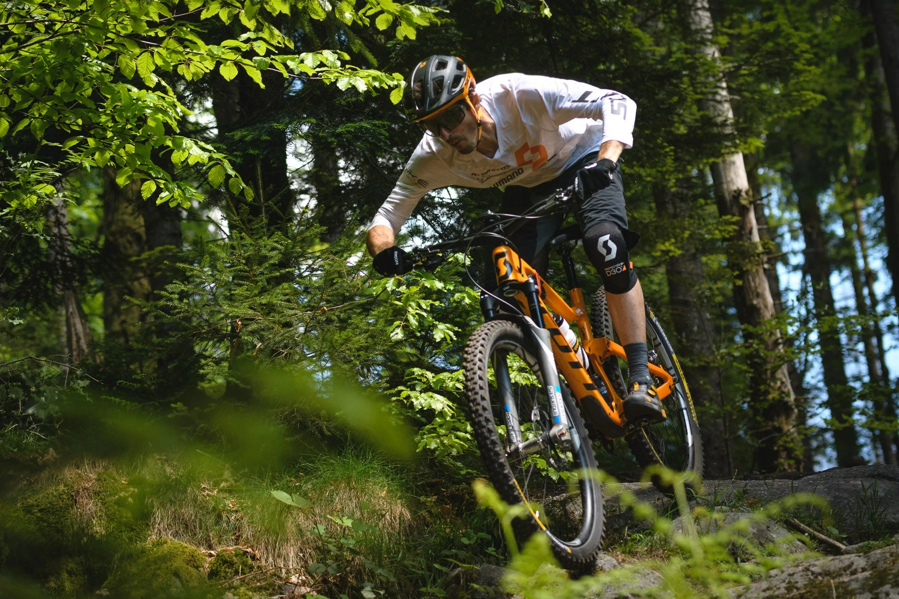 Vélos électriques Soldes 1 Vélos électriques Soldes -Vélos électriques Soldes 110308765 10158222061580211 7269312108539038961 n